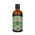 Extrakt z Ginkgo Biloba – Ginkgo Biloba Max (100 ml)